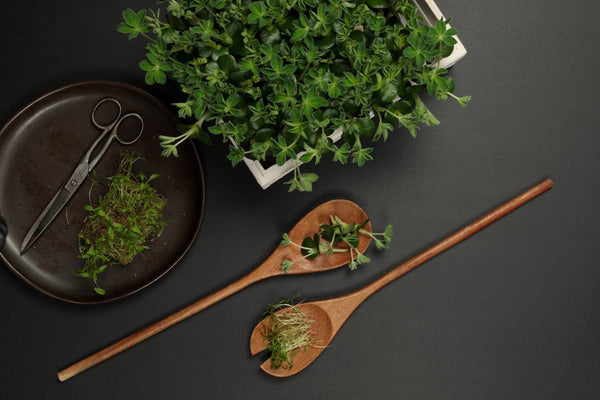 Süsslupinen Sprossen