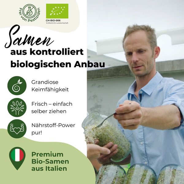 Mélange de graines germées biologiques Power-Mix 250 g