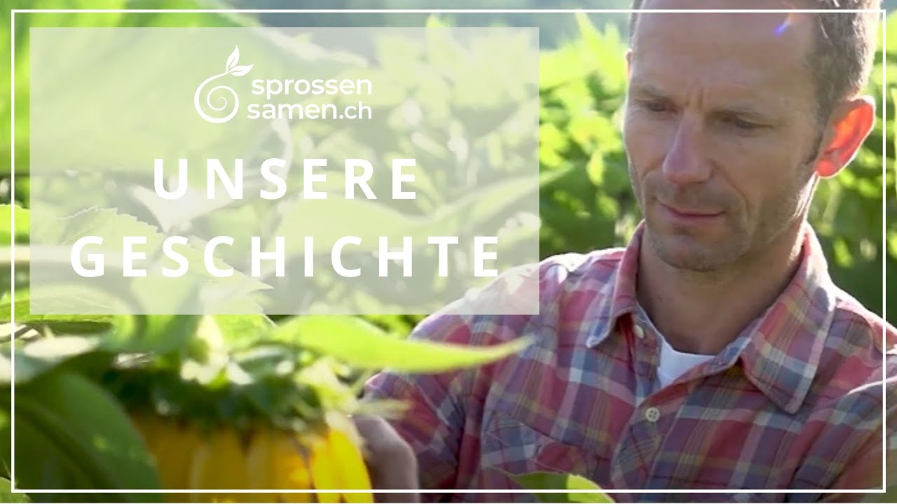 Marco-sprossen-sonnenblumenfeld