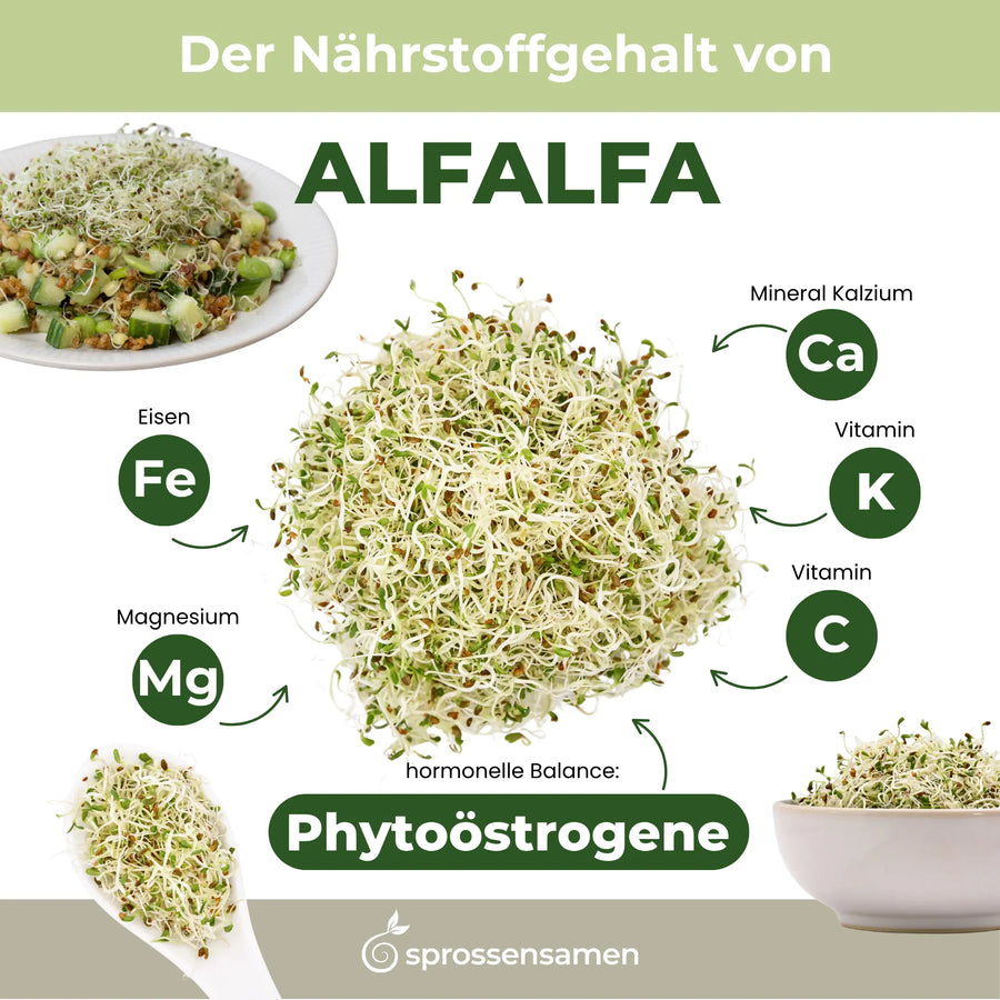 Alfalfa seeds for sprouting, organic 250g