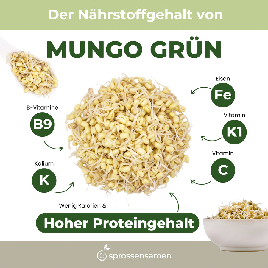 Germes de haricots mungo verts biologiques 500 g
