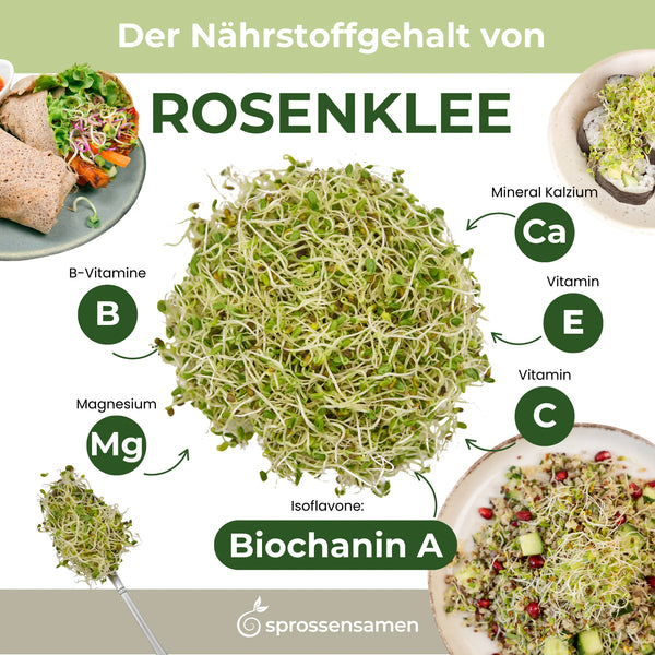 Rosenklee Bio Sprossensamen 250g