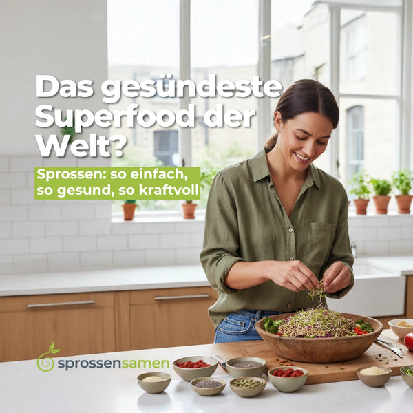 Starterpaket mit System