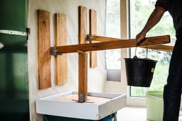 Spirulina-Pressung-mit-Gravitation