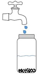 Sprossen-selber-ziehen-Schritt-4