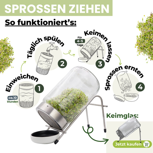 Germes de brocoli bio 250 g