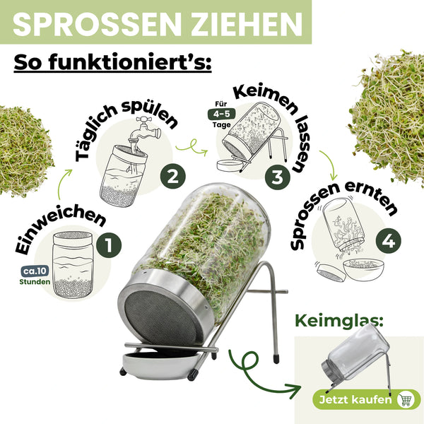 Rosenklee Bio Sprossensamen 250g