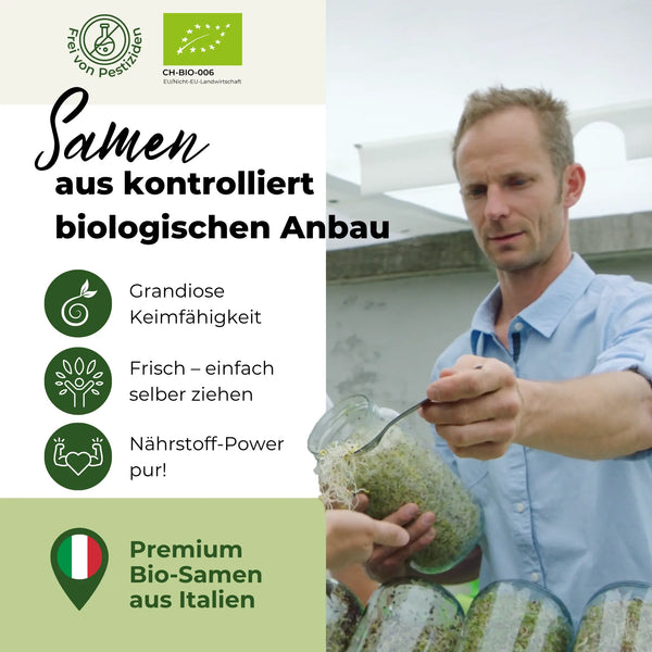 Berglinsen Sprossensamen Bio 500g