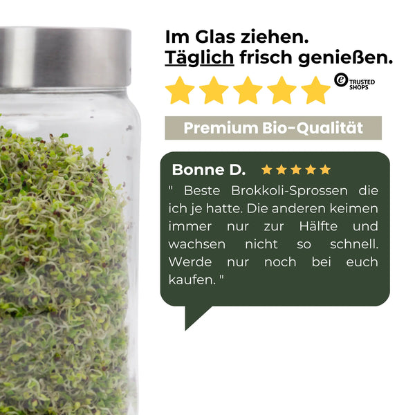 Stoffwechsel-Bundle – 5 Bio-Sprossensamen, die deinen Stoffwechsel natürlich anregen