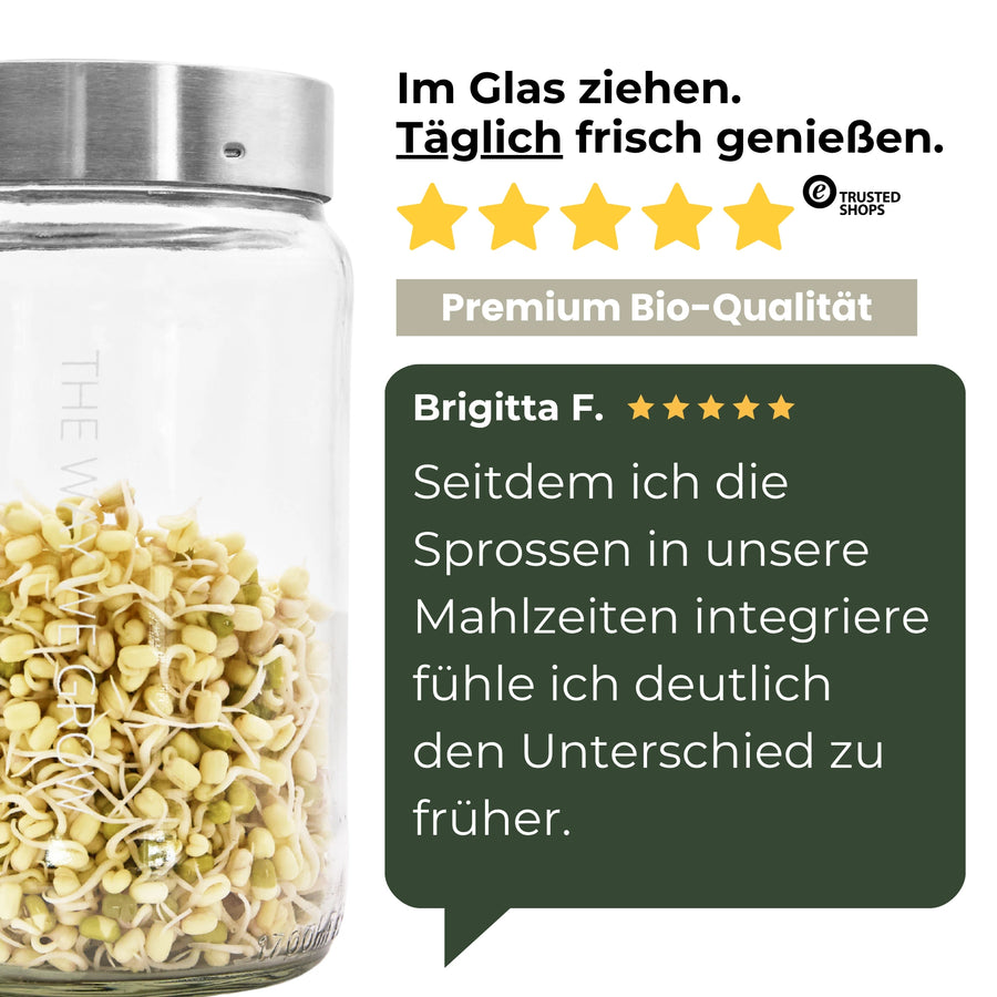 Germes de haricots mungo verts biologiques 500 g