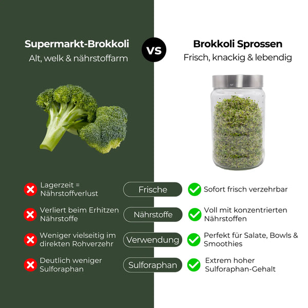 Germes de brocoli bio 250 g