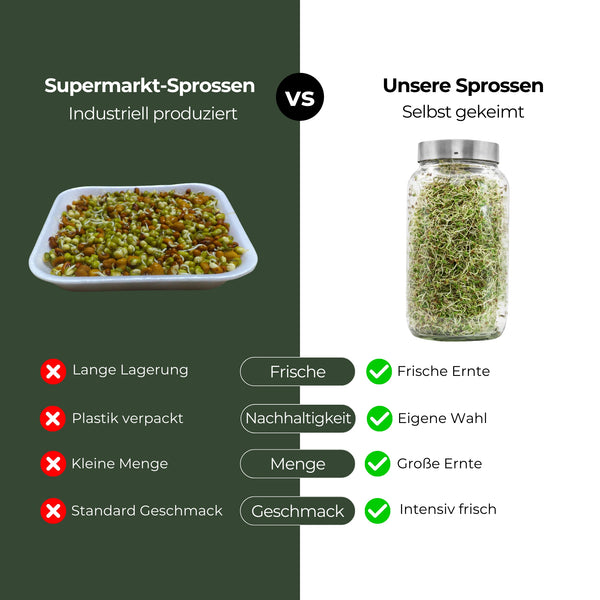 Rosenklee Bio Sprossensamen 250g