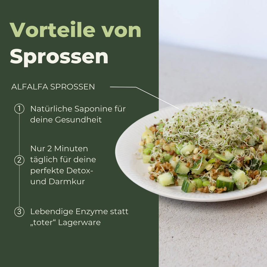 Alfalfa seeds for sprouting, organic 250g