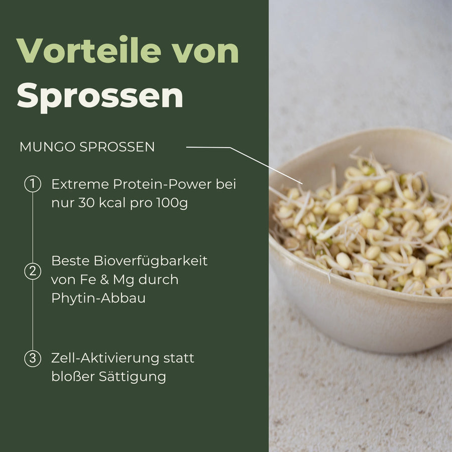 Germes de haricots mungo verts biologiques 500 g