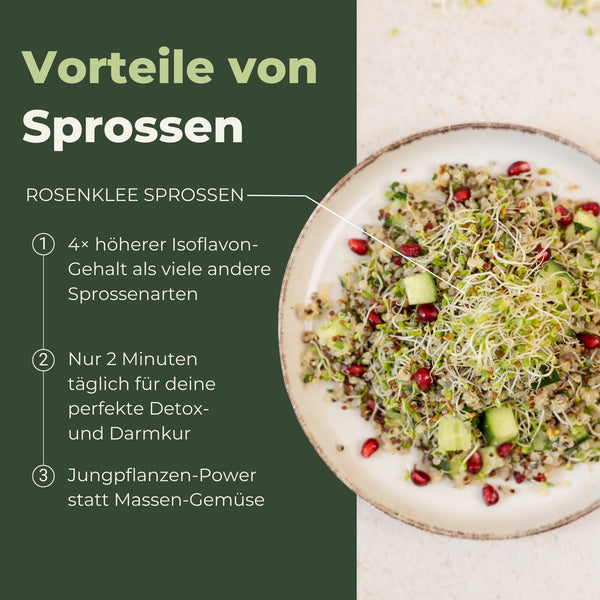 Rosenklee Bio Sprossensamen 250g