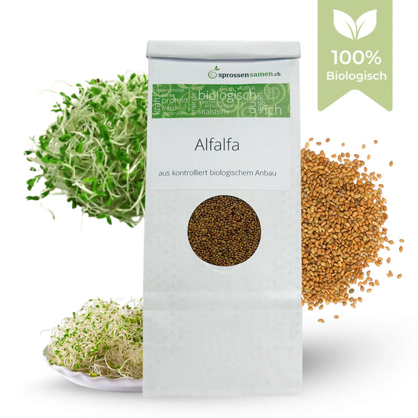 Alfalfa Sprossen / Luzerne Bio Samen 250g