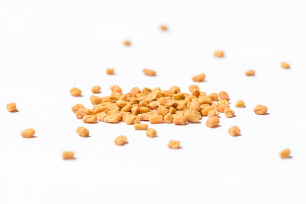 Bockshornklee Bio Samensprossen 250g