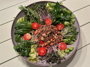 Linsen-Salat