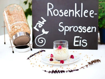 Sprosseneis aus Rosenklee Sprossen