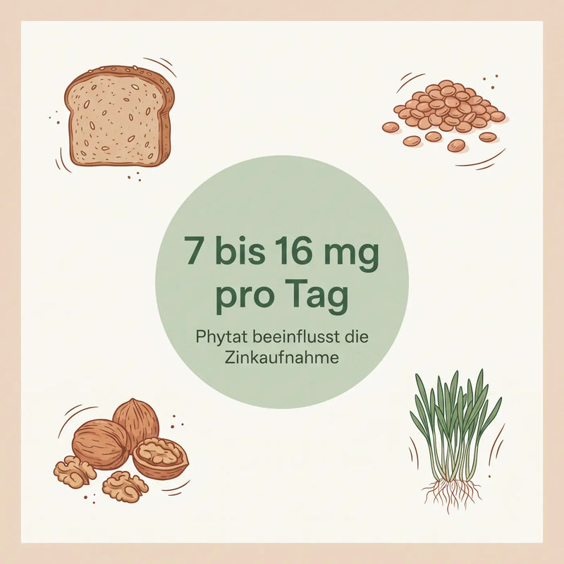 Infografik zu Zink Tagesbedarf und Phytat