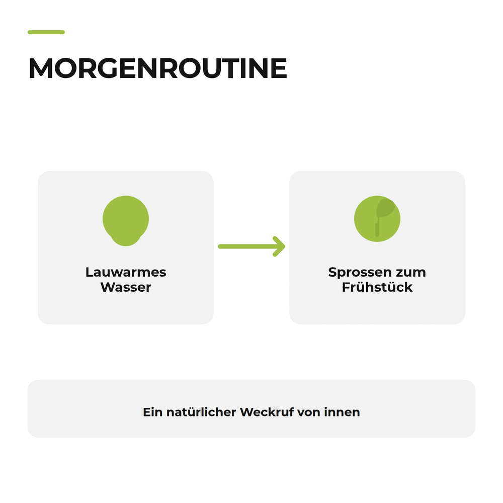 Verdauung anregen – Infografik Morgenroutine