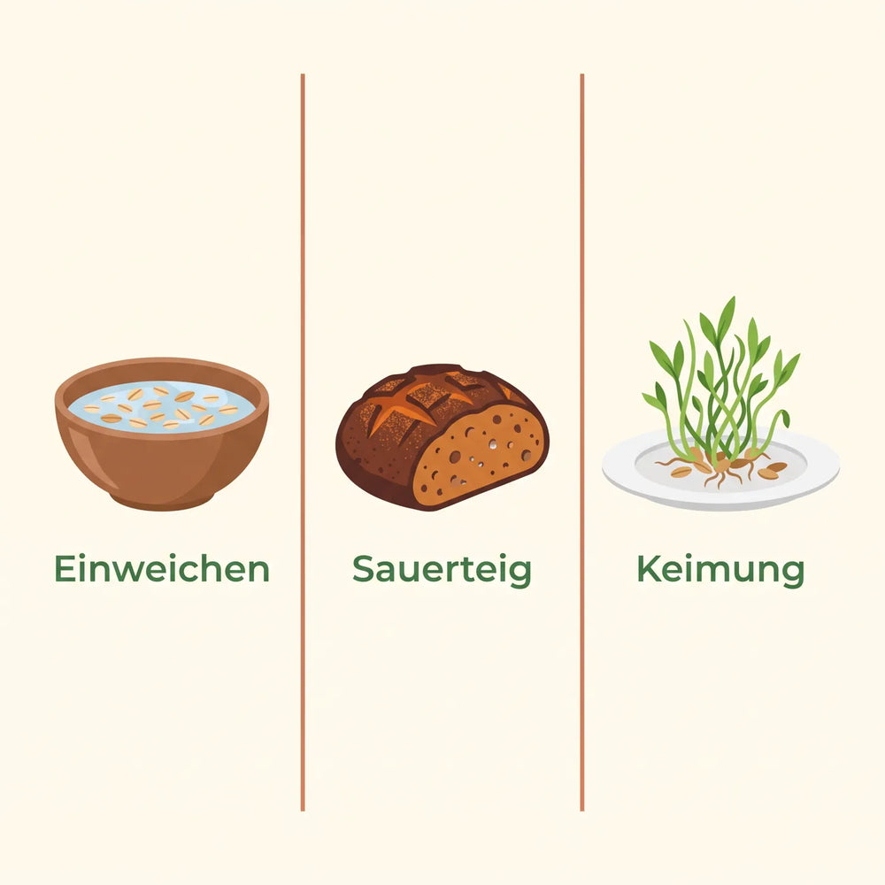 Infografik zu Einweichen, Sauerteig und Keimung