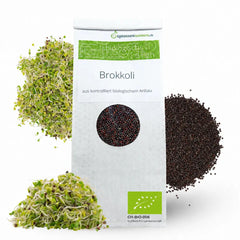 Brokkoli-Sprossen