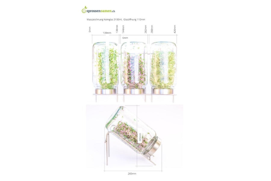 Geschenk-Set mit Glas 3100ml 