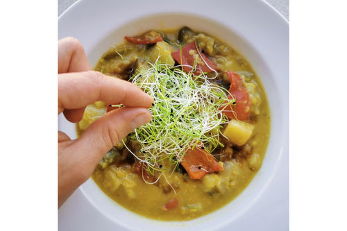 Pikantes Curry mit Lauchsprossen