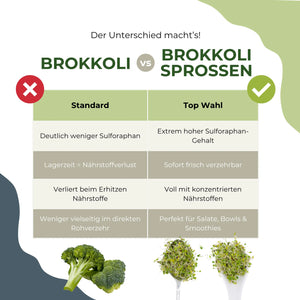 Was sind Sprossen eigentlich?