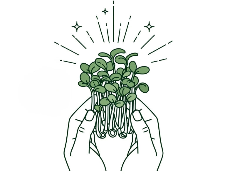 Sind Detox-Mix Sprossen Gesund?