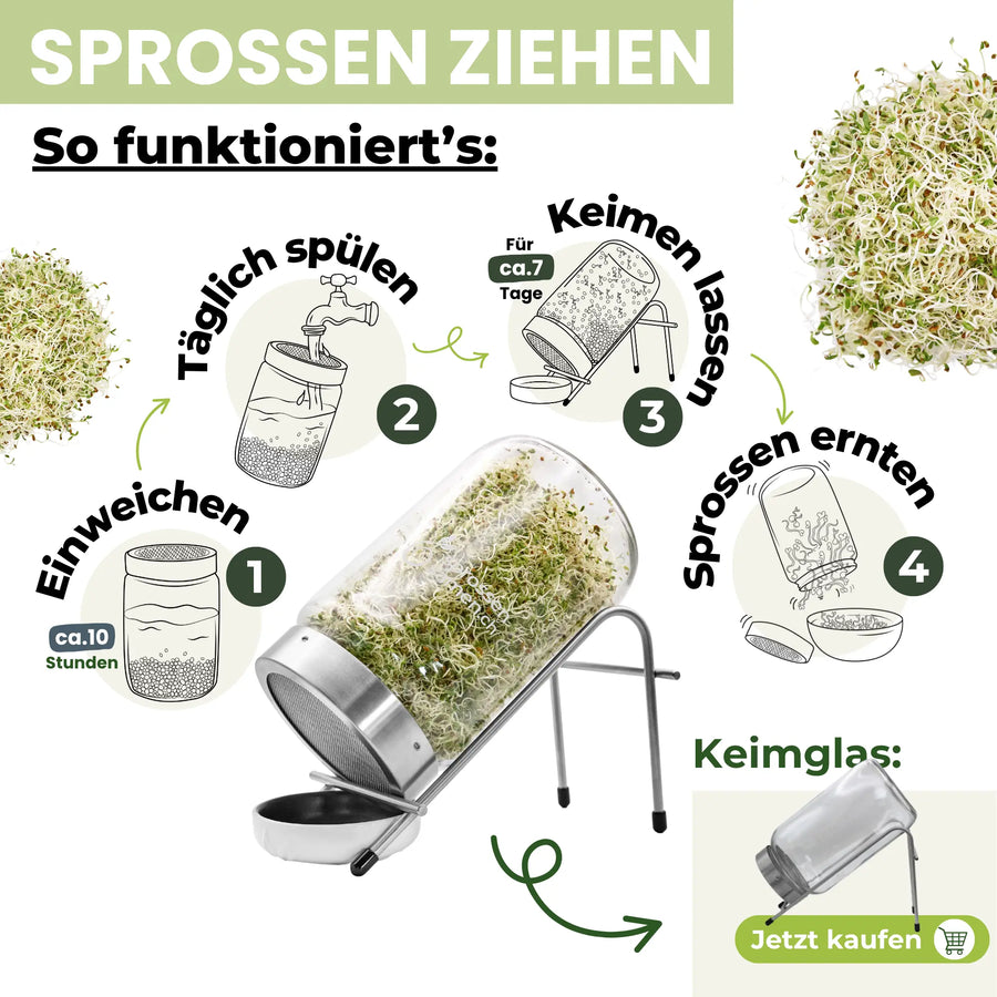 Alfalfa seeds for sprouting, organic 250g