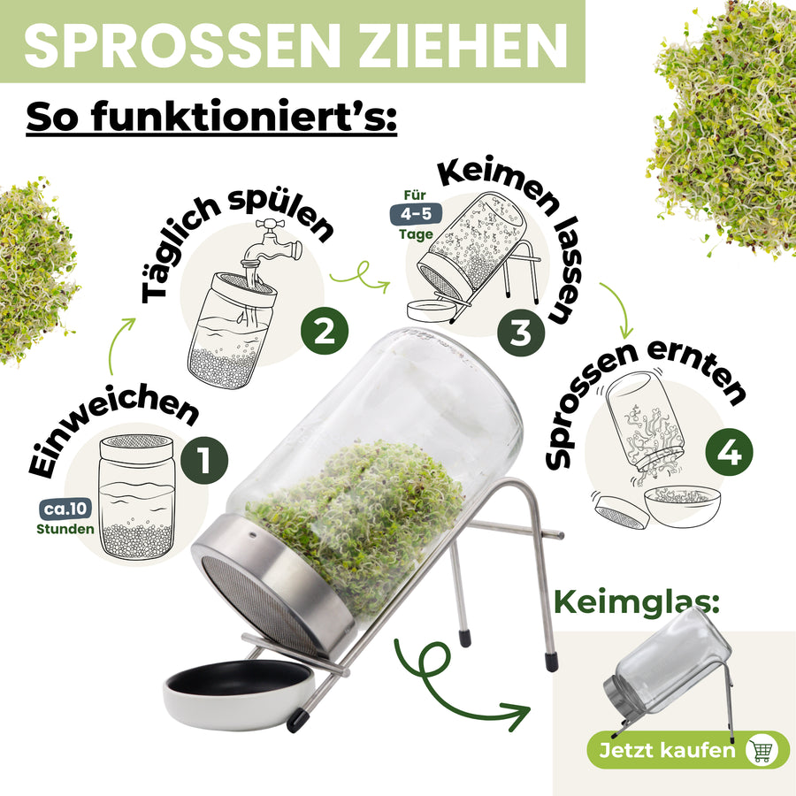 Keimglas 3100ml The Way We Grow™ aus Glas mit Ständer Biosprosser