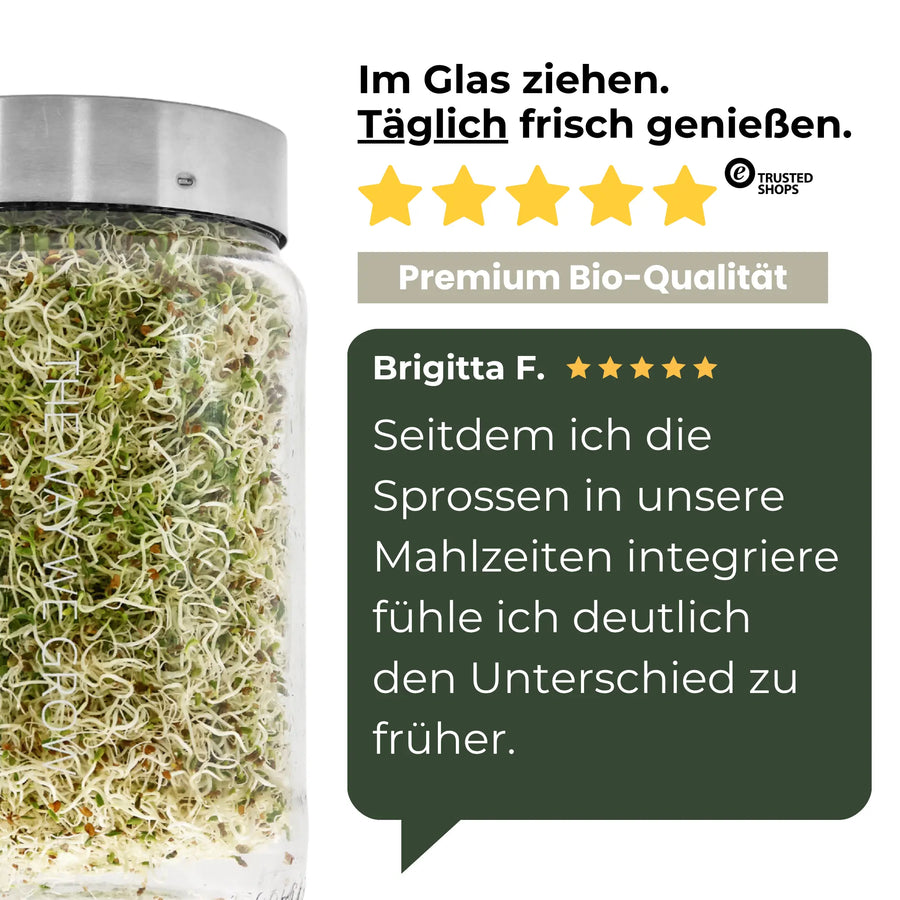 Alfalfa seeds for sprouting, organic 250g