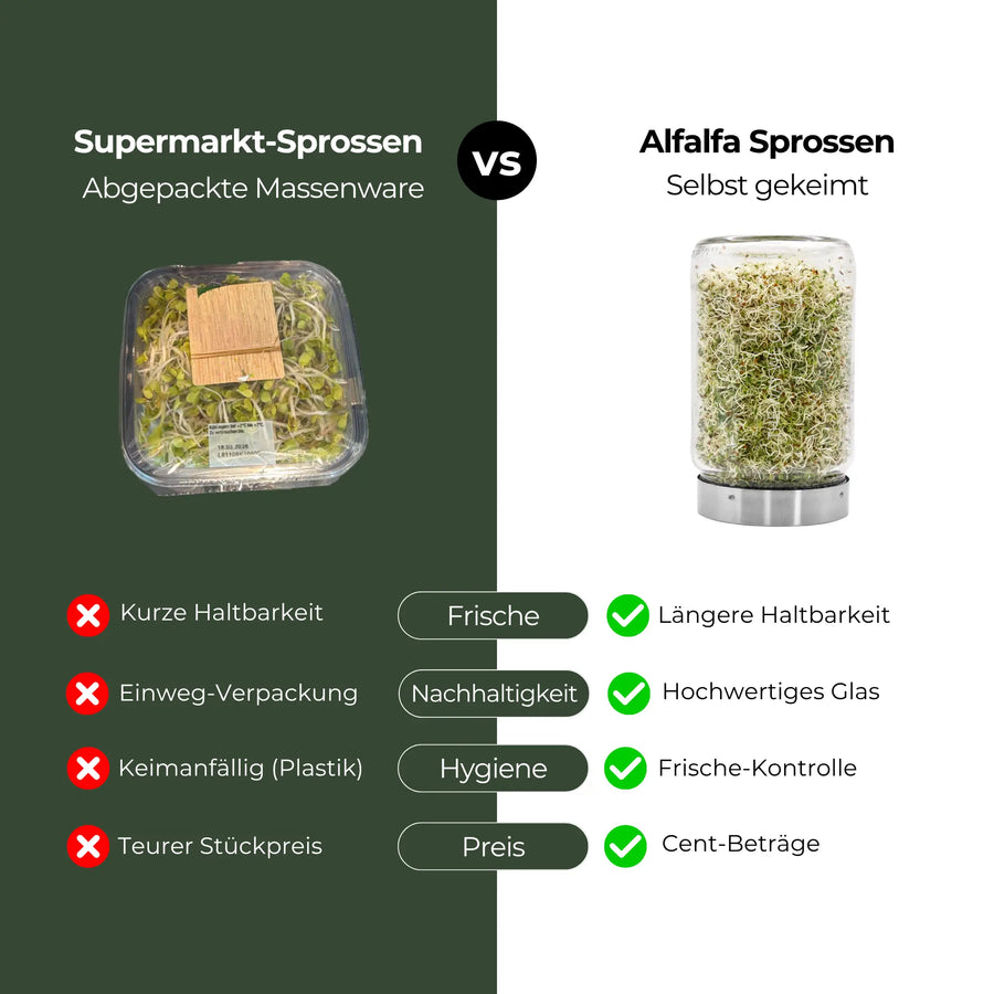 Alfalfa seeds for sprouting, organic 250g