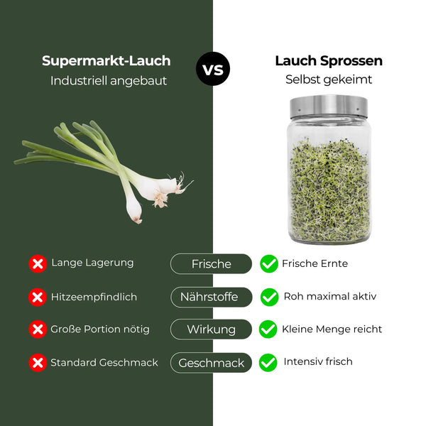 Zwiebeln/Lauch Bio Samensprossen