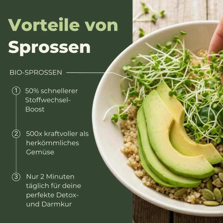 Keimglas 3100ml The Way We Grow™ aus Glas mit Ständer Biosprosser