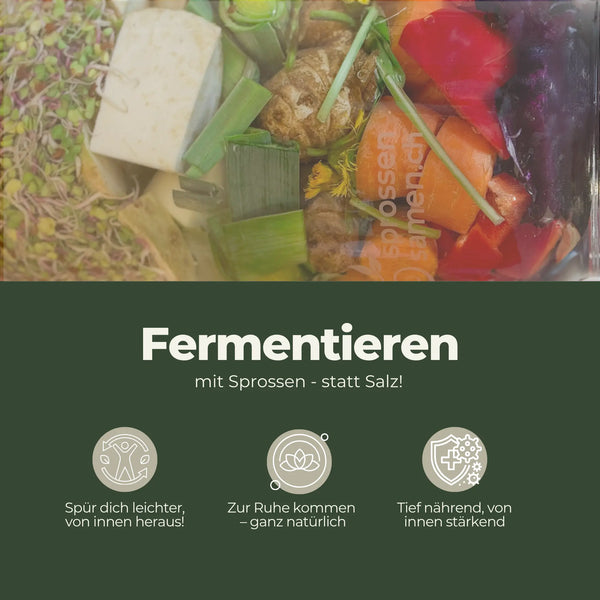 Fermentier-Set mit „VitalGlas“