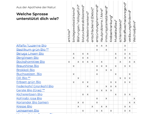 WirkungFlyer