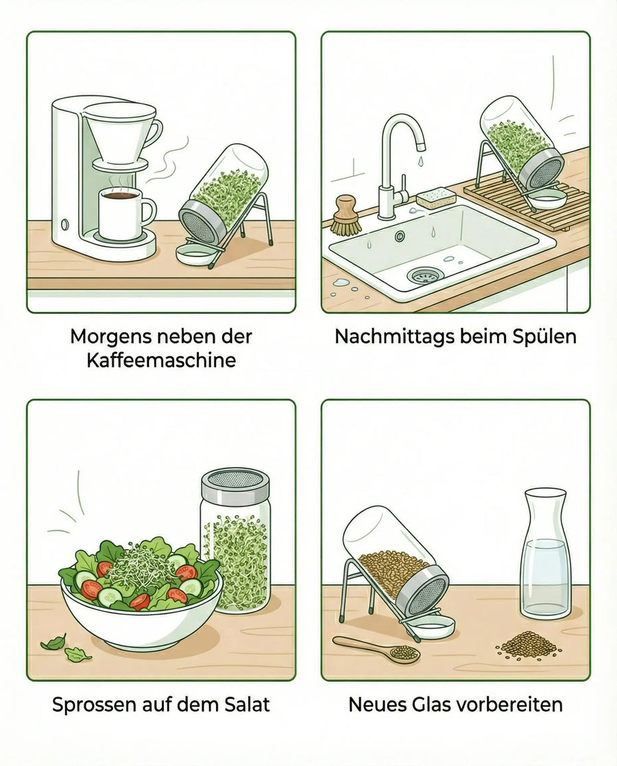 Keimglas 3100ml The Way We Grow™ aus Glas mit Ständer Biosprosser