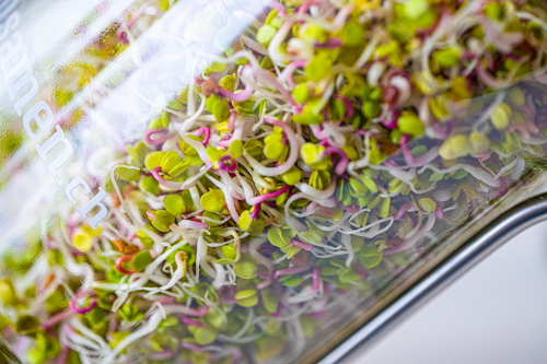 Test Rezept